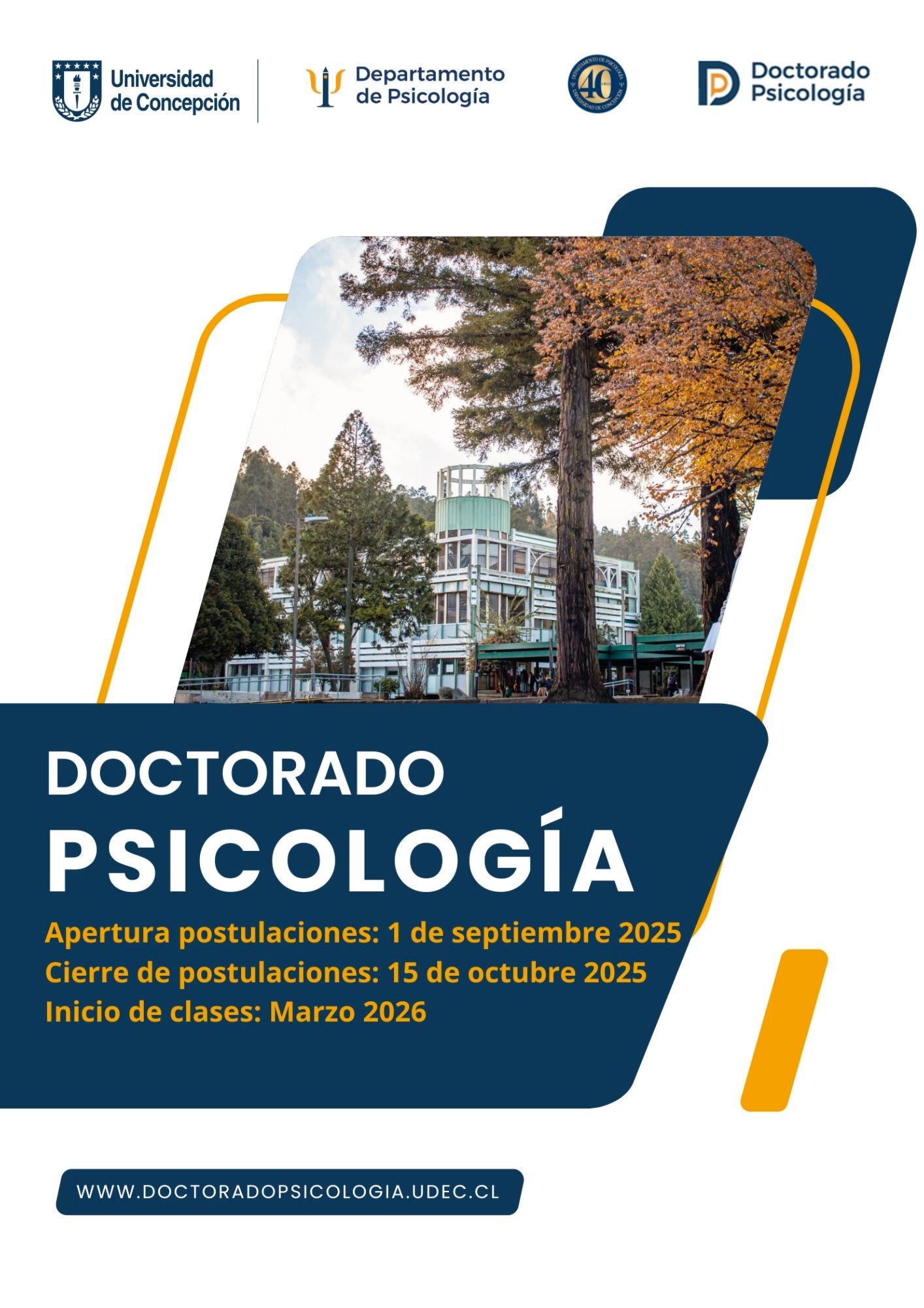 Brochure Magister Psicologia 2025
